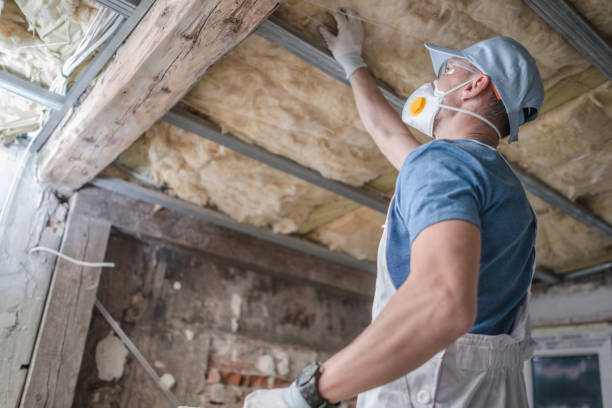 Best Energy Efficiency Insulation in Pontoon Beach, IL