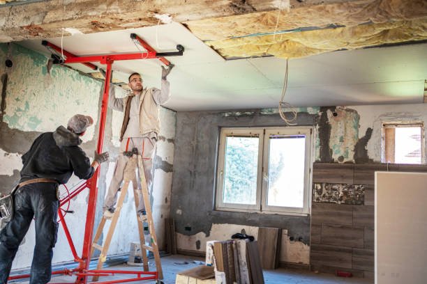 Best Geographic-Specific Insulation Services in Pontoon Beach, IL
