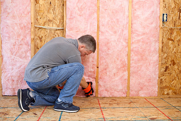 Best Specialized Insulation Services in Pontoon Beach, IL