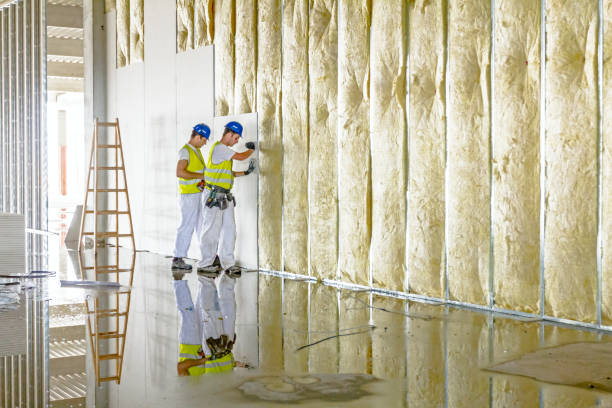 Best Residential Insulation in Pontoon Beach, IL